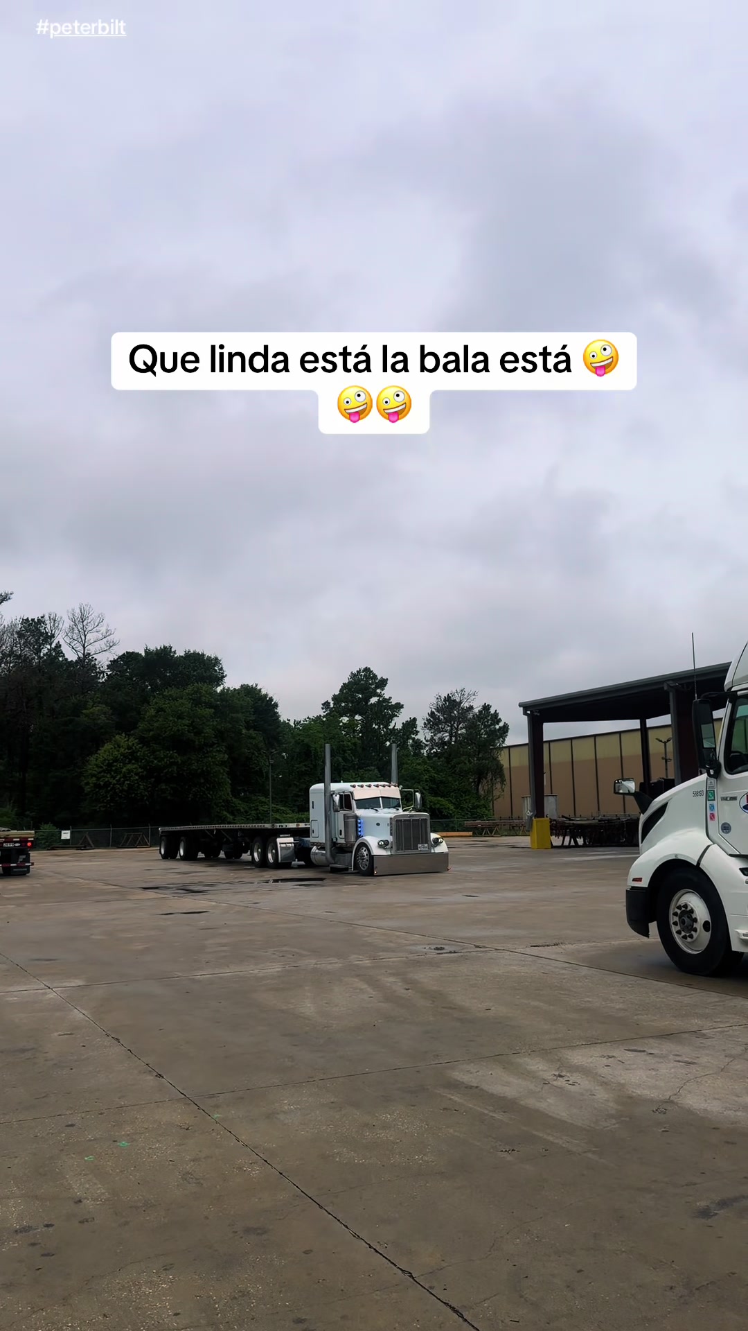 @evoXfredy