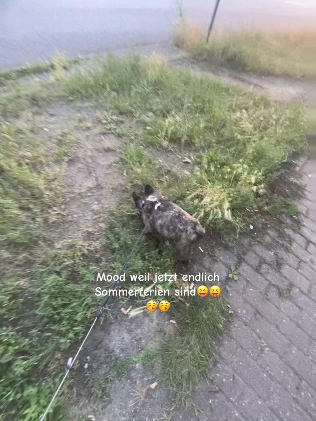 @๐ด๐๐๐๐