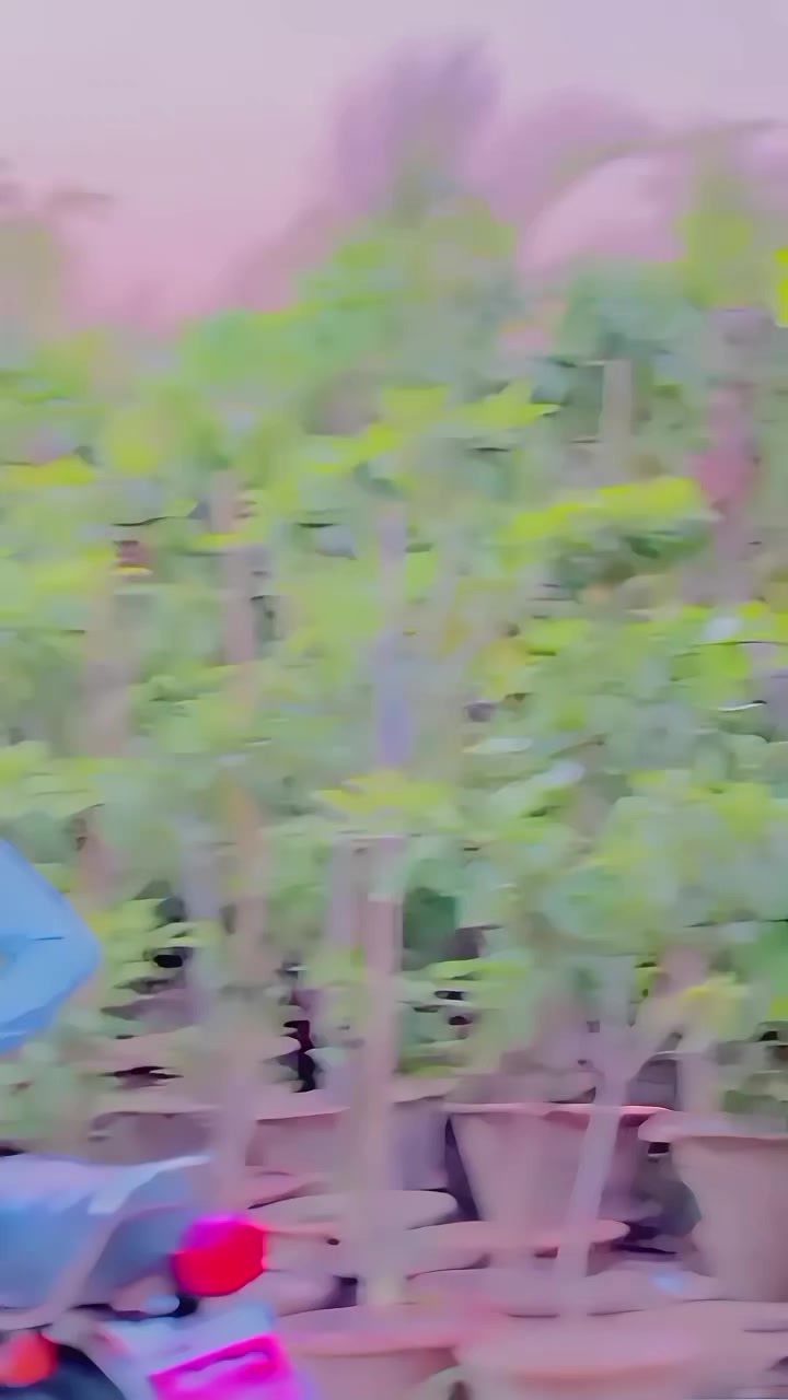 @亗 🇹🇷𝗔𝗸 𝗕𝗿𝗔𝗻𝗗🇹🇷¹⁰¹⚡