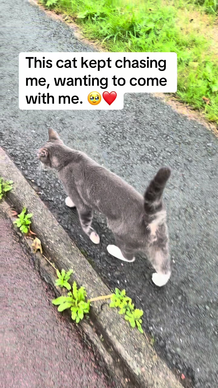 @Laily&Liyan 🐾