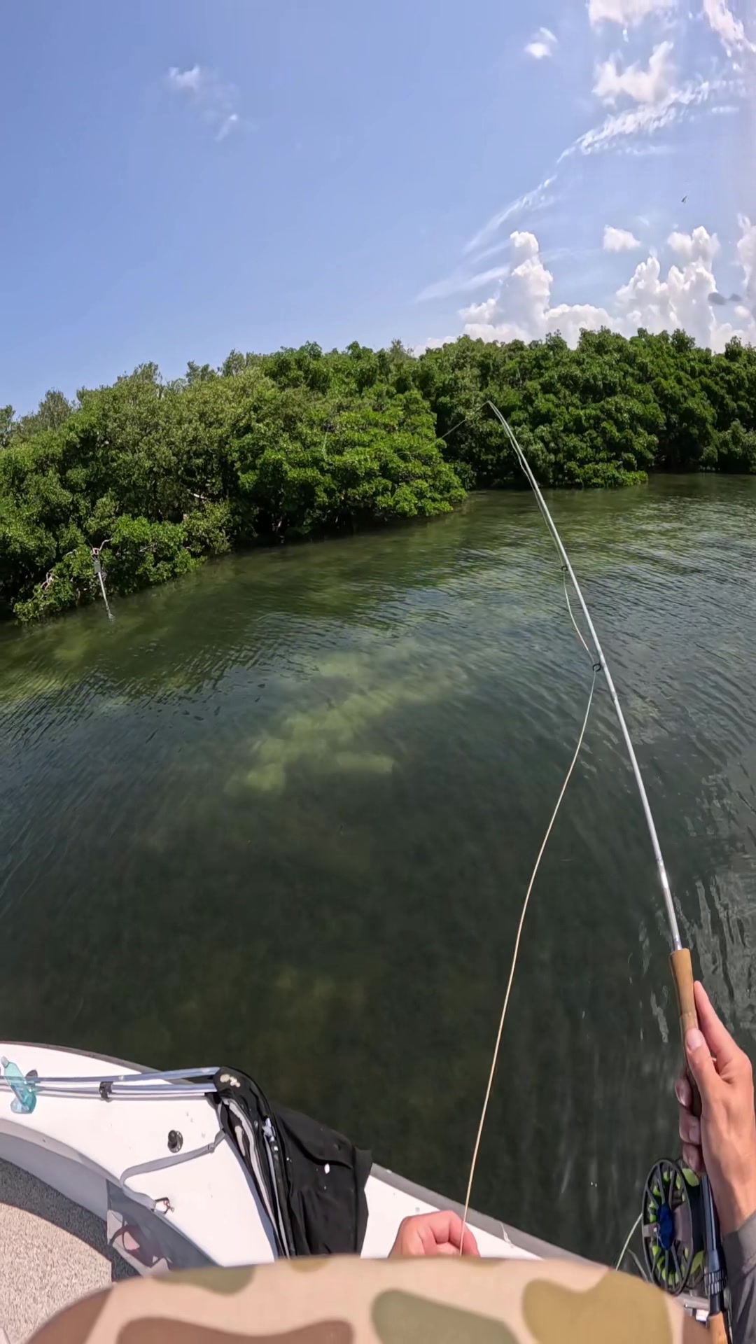 @FlyFishDelawhere
