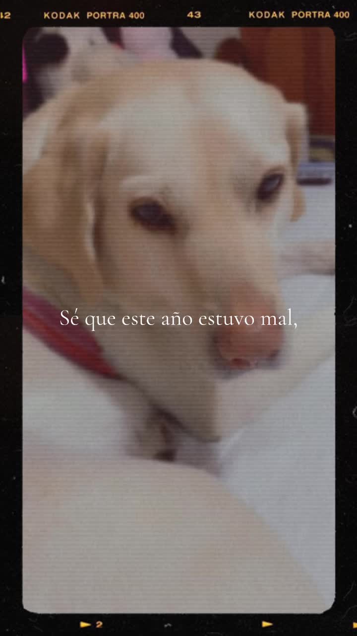 @Dani Moreno