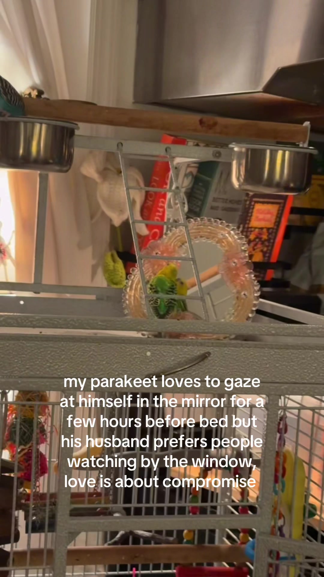 @LIV JANE