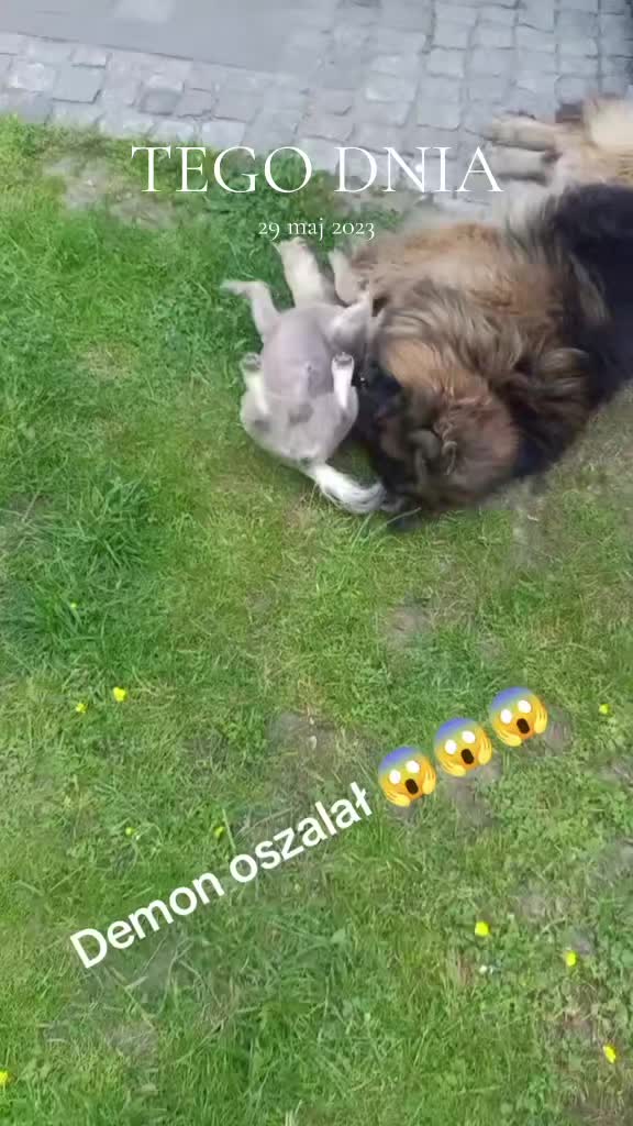@Jadźka555🙈🙈🙈