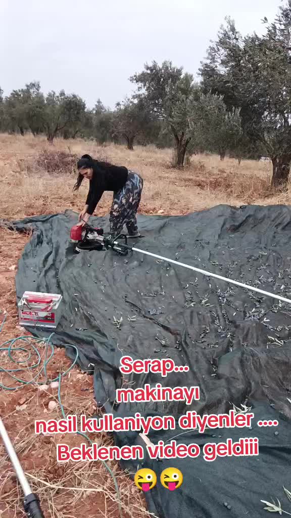 @Serap ince çiftliği