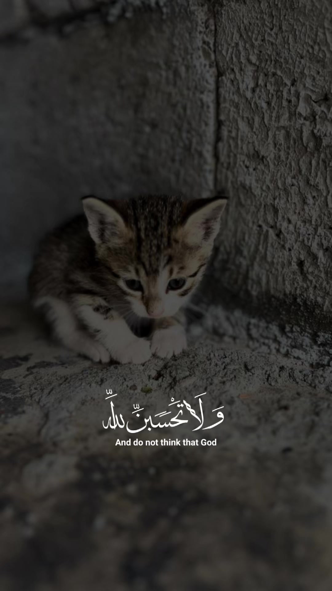 @﮼هەپی🤎.