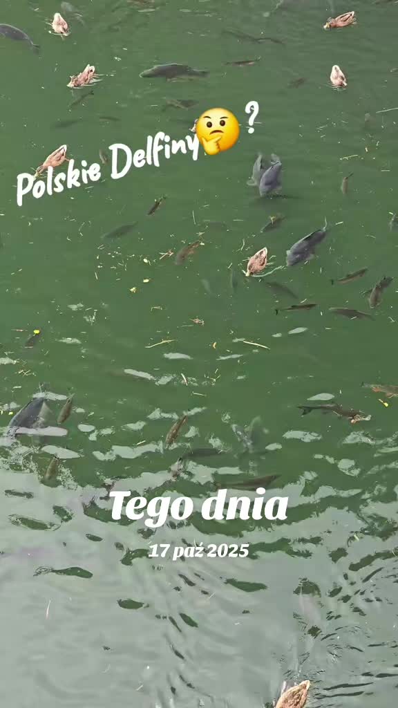 @mariuszmwm