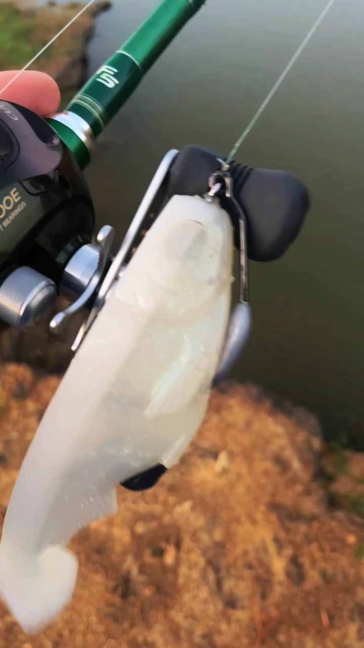 @DTFishin