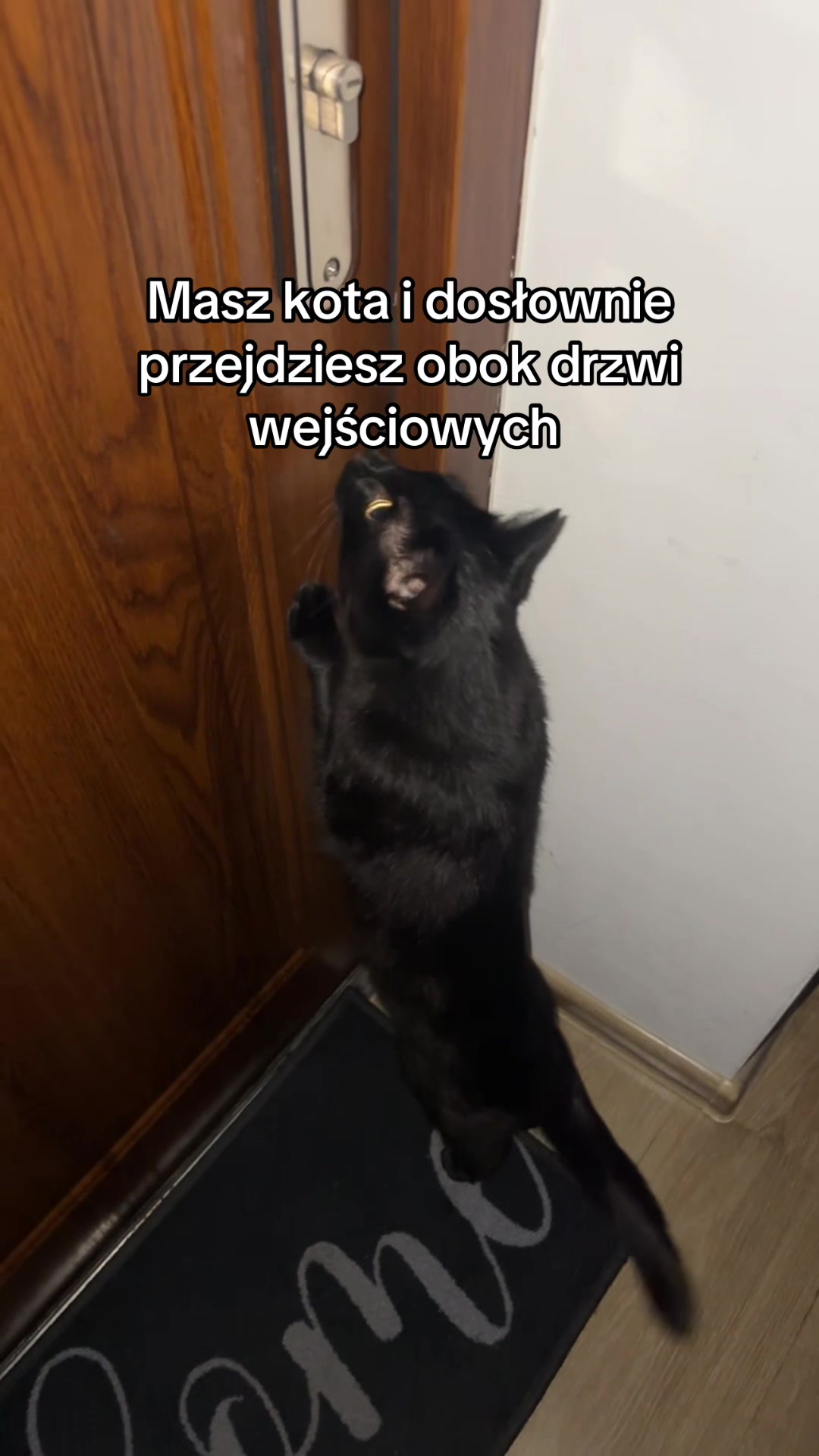 @Andzior 🩷