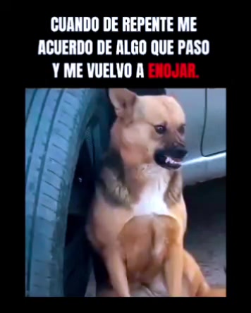 @LA VIDA ES UNA NOTA - SIGUEME