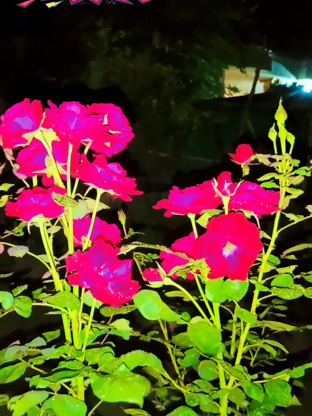 @𝐒𝐇A̴K̴ɿR̴ 𝐆u𝐣𝐣𝕒𝐫💫