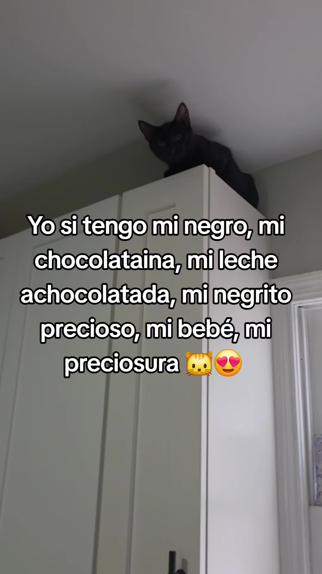 @Yami G.
