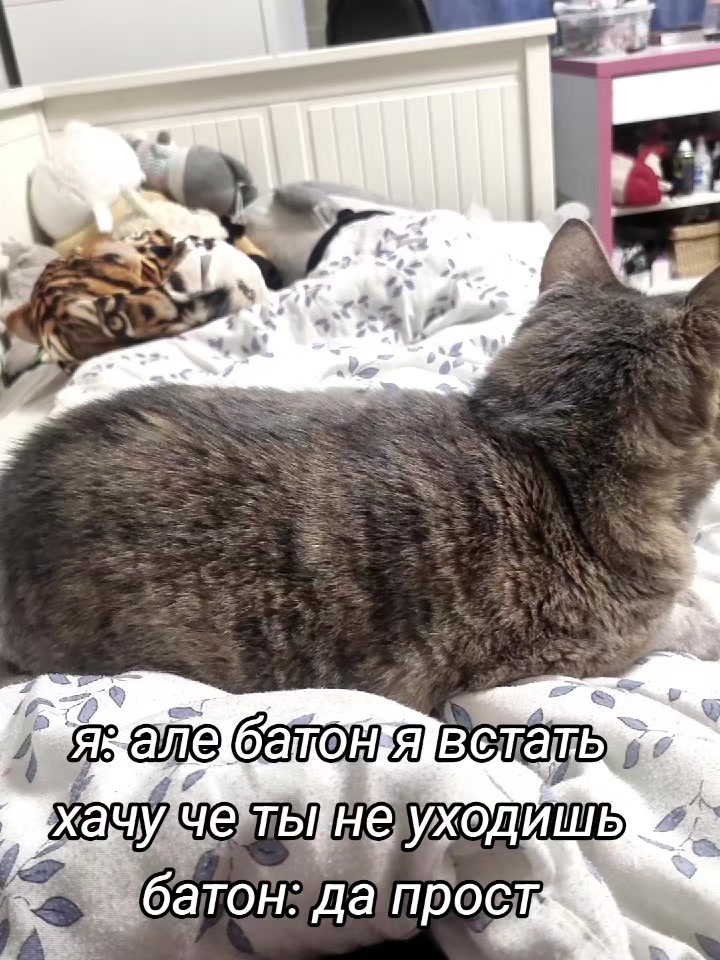 @энишка олд акк