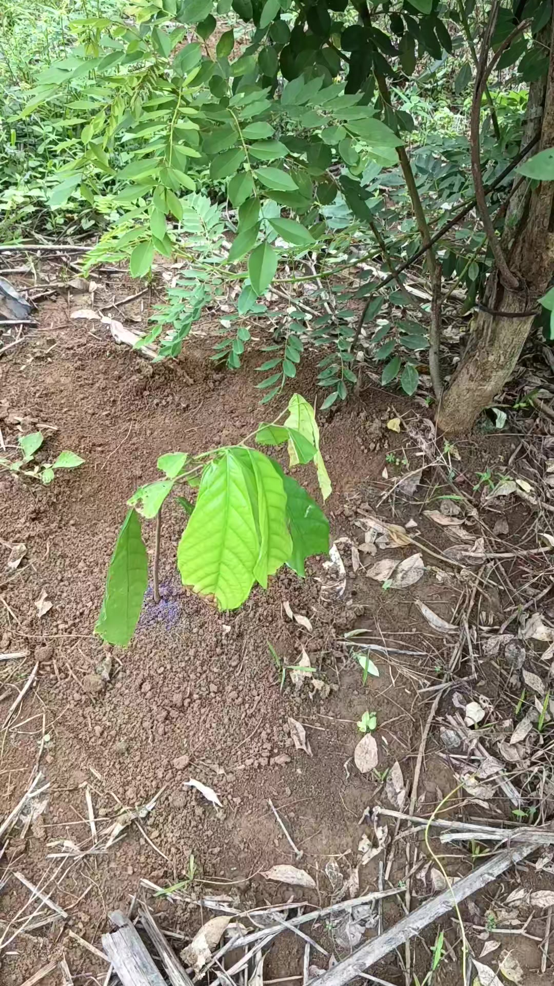 @𝗬𝘂𝘀𝘂𝗳 𝗟𝗮𝘁𝗶𝗲𝗳