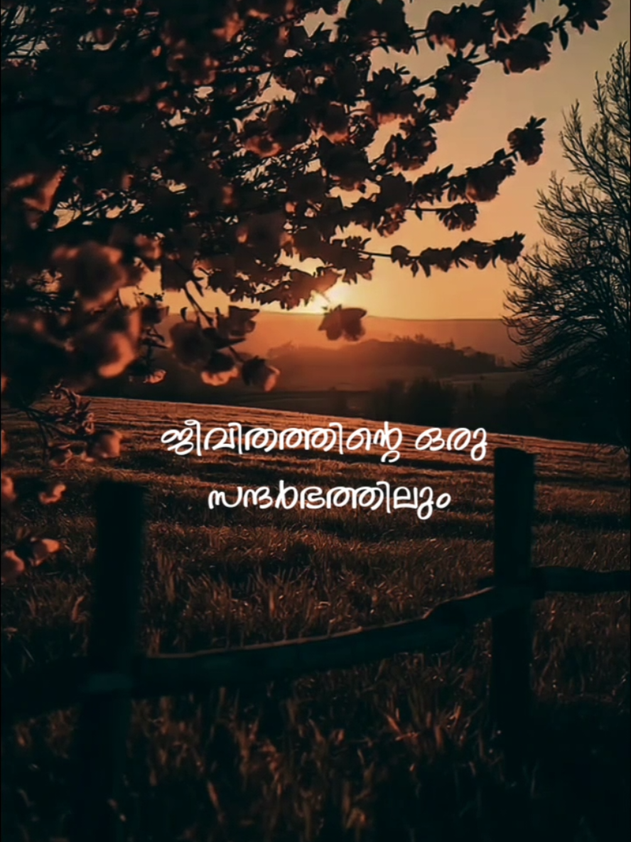 @๐พ๐๐๐๐โก