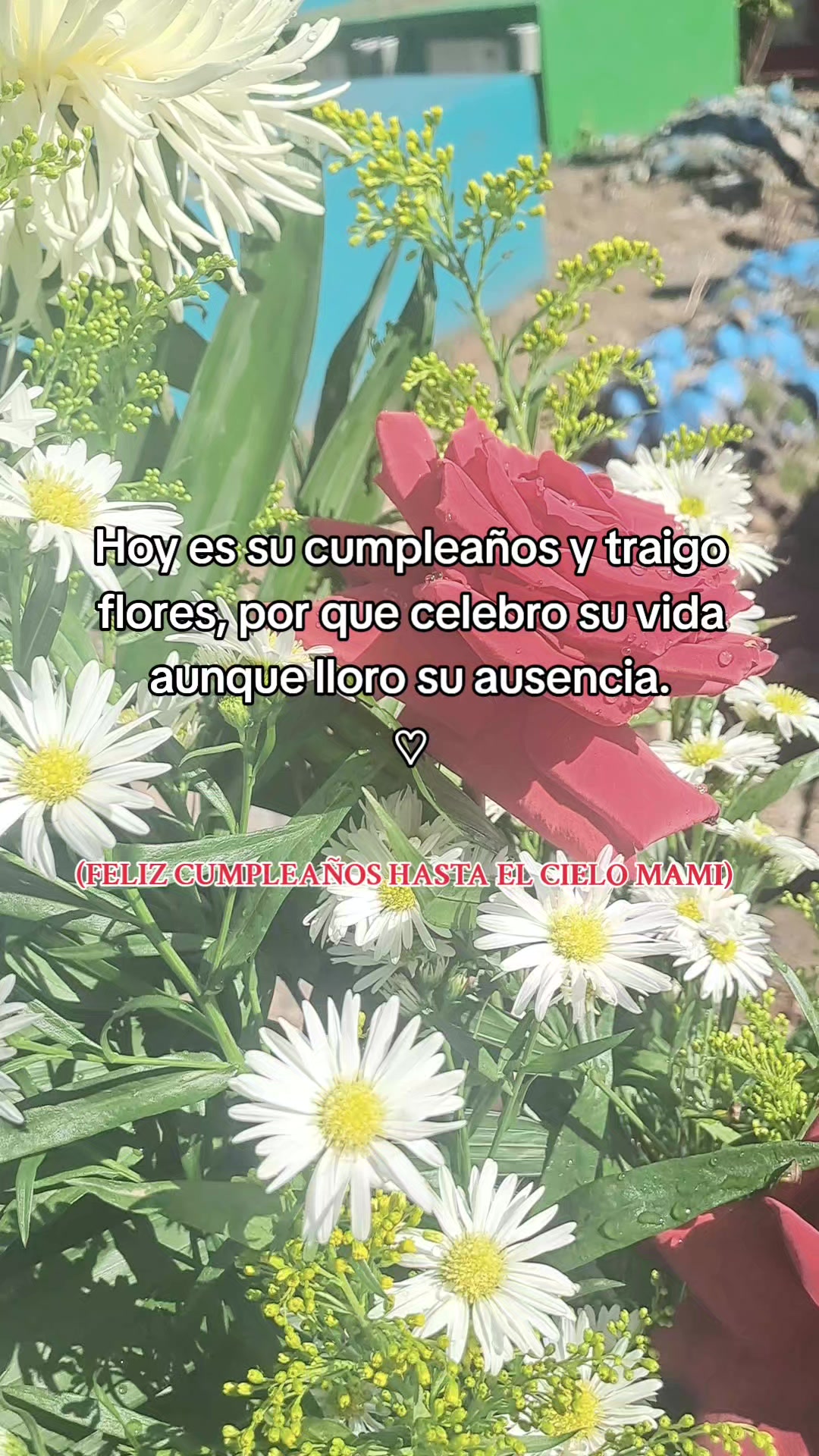 @Aguilar♡