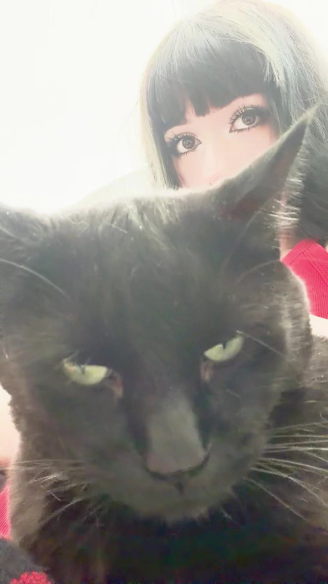 @kitty!