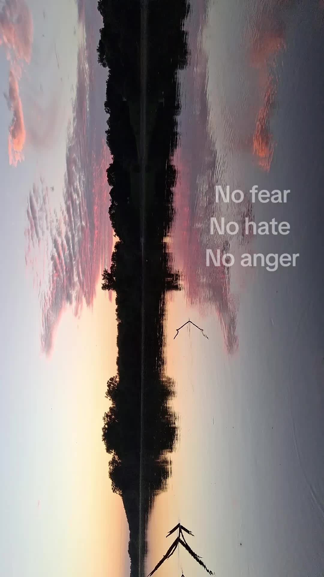 @trippyred100