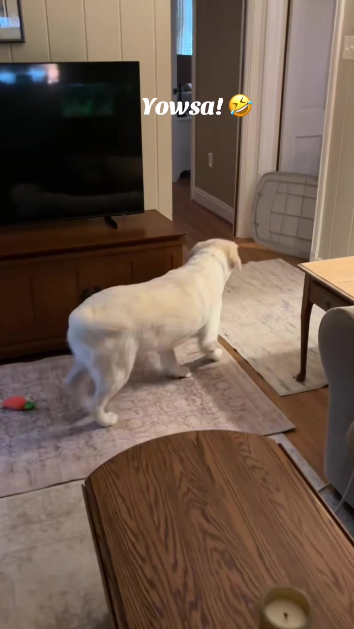 @lifewithduke2025