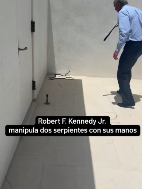 @Telemundo PR
