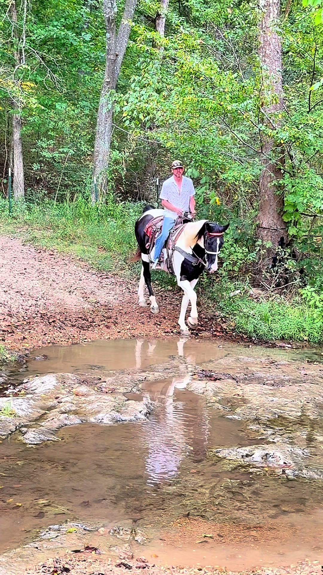 @Lucky D Ranch 🍀