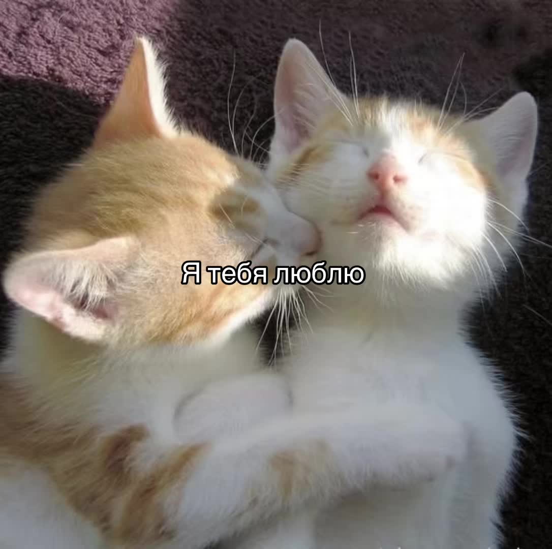 @ 