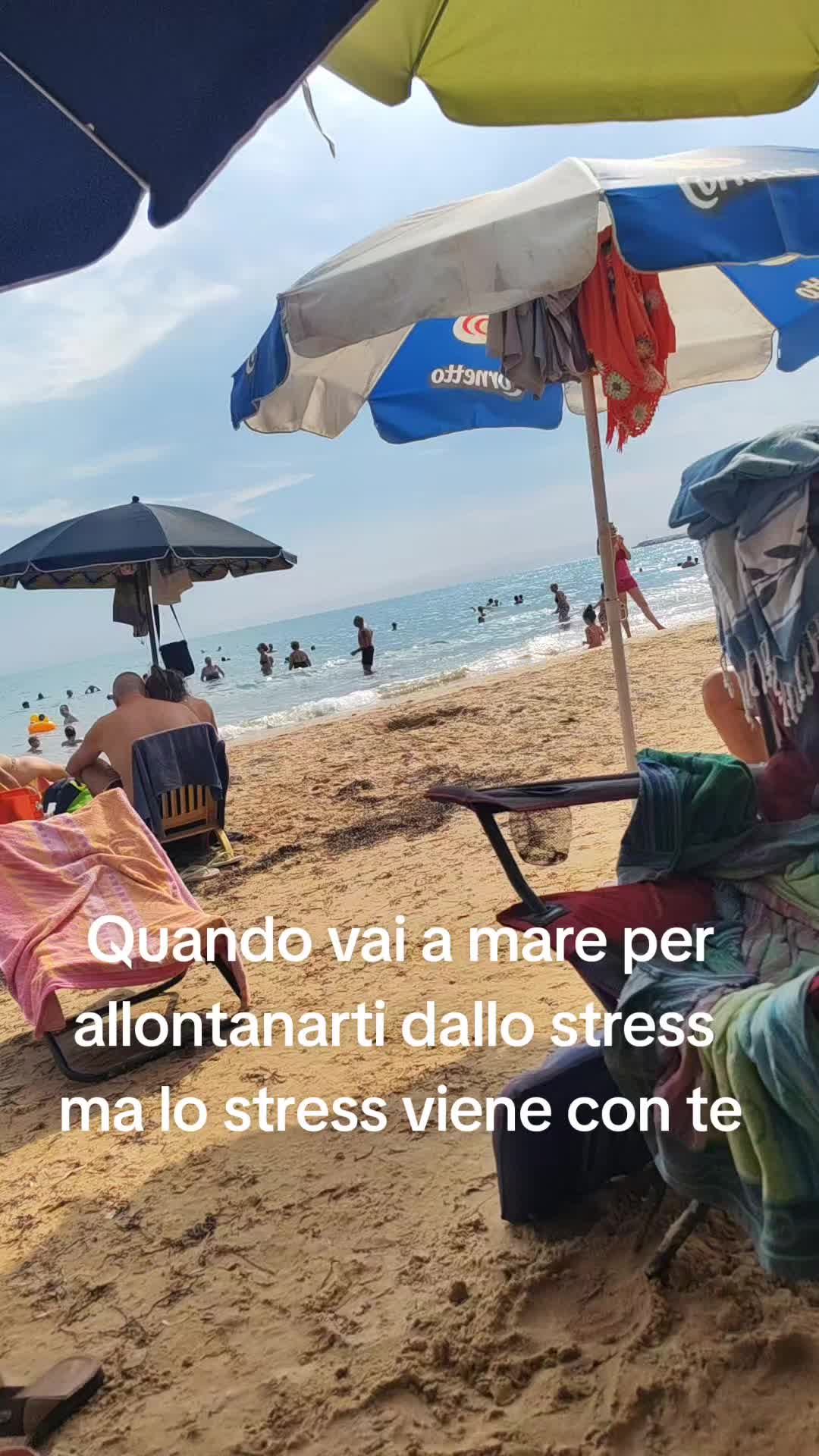 @Carol Catania