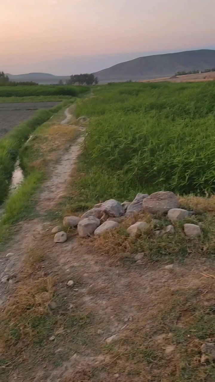 @almaskotwal46🇦🇫