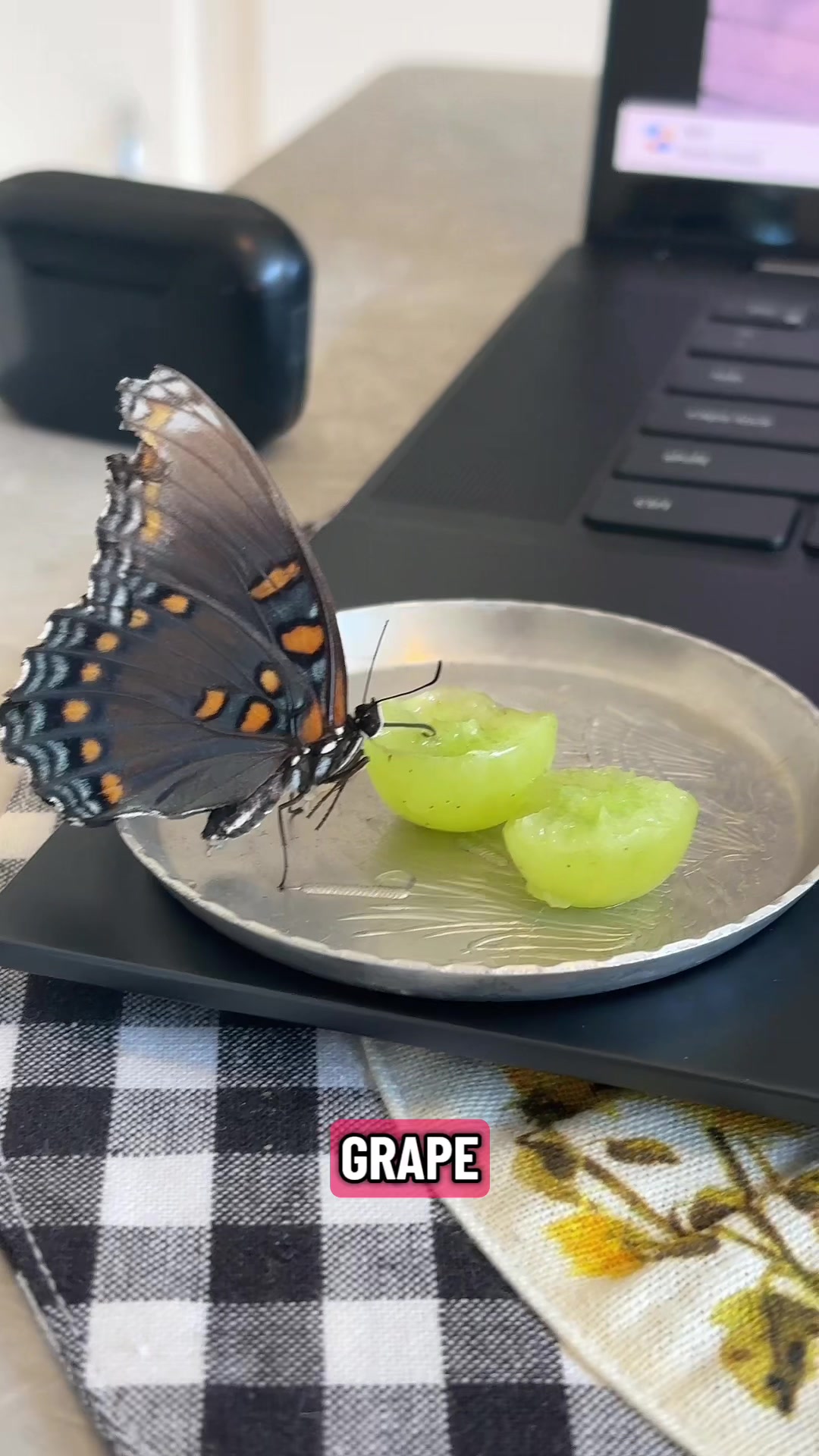 @Puck.Online
