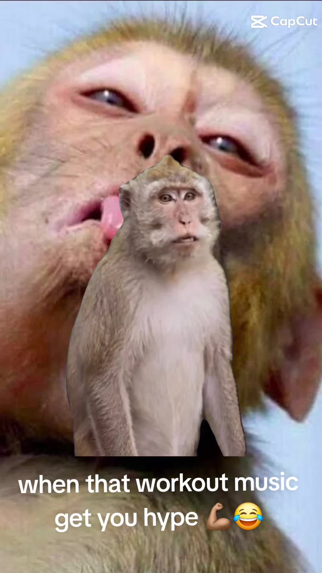 @N A T E G R E A T 🦍🫆💈🪬