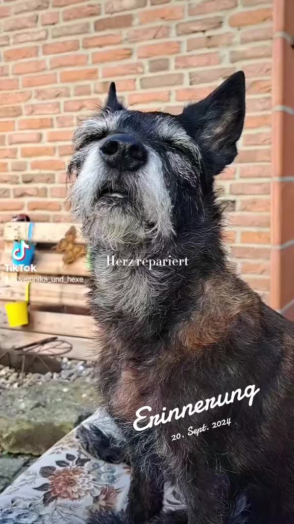 @Maya'sAbenteuer_HexeErinnerung