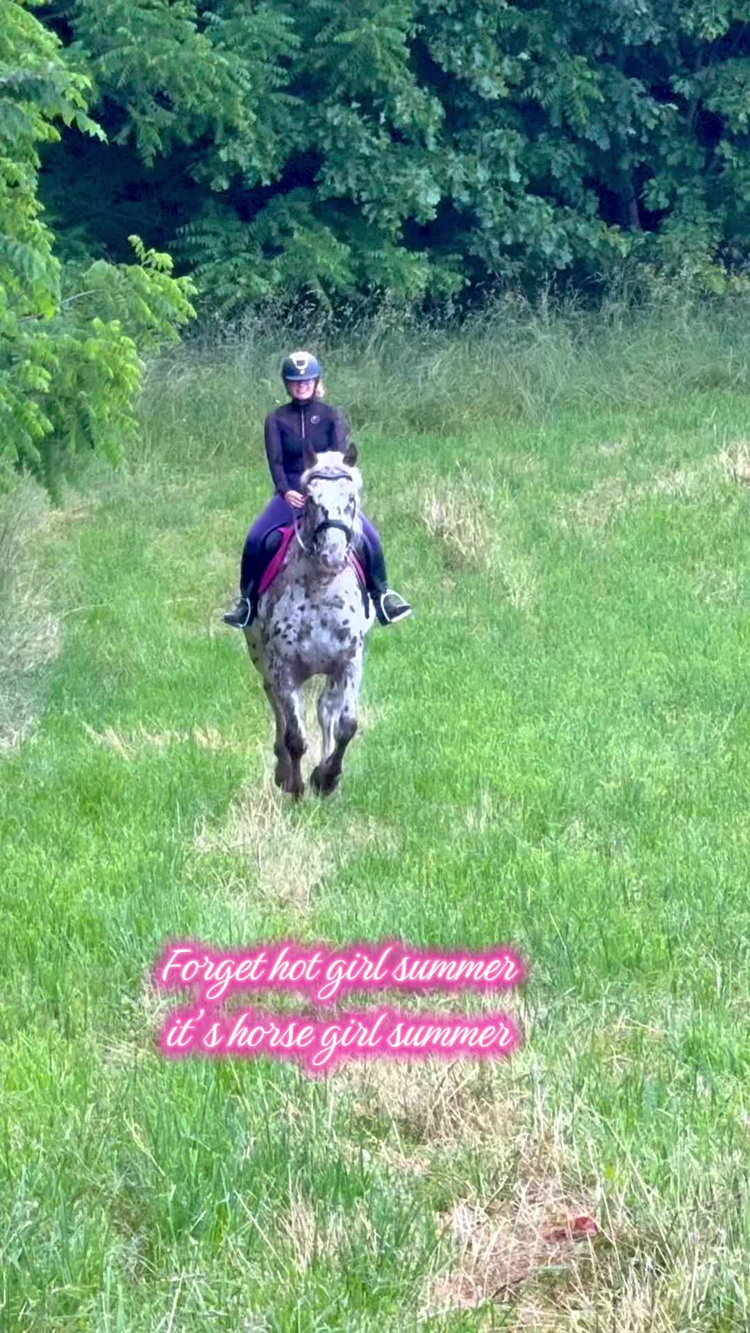 @Free Spirit Equestrian