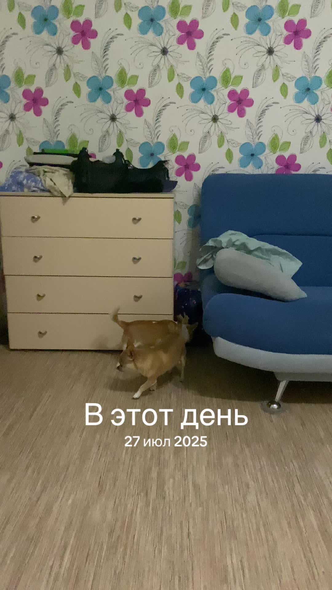 @⋆𐙚₊˚ 𝓶𝓲𝓵𝓴𝓲 ⋆𐙚₊˚