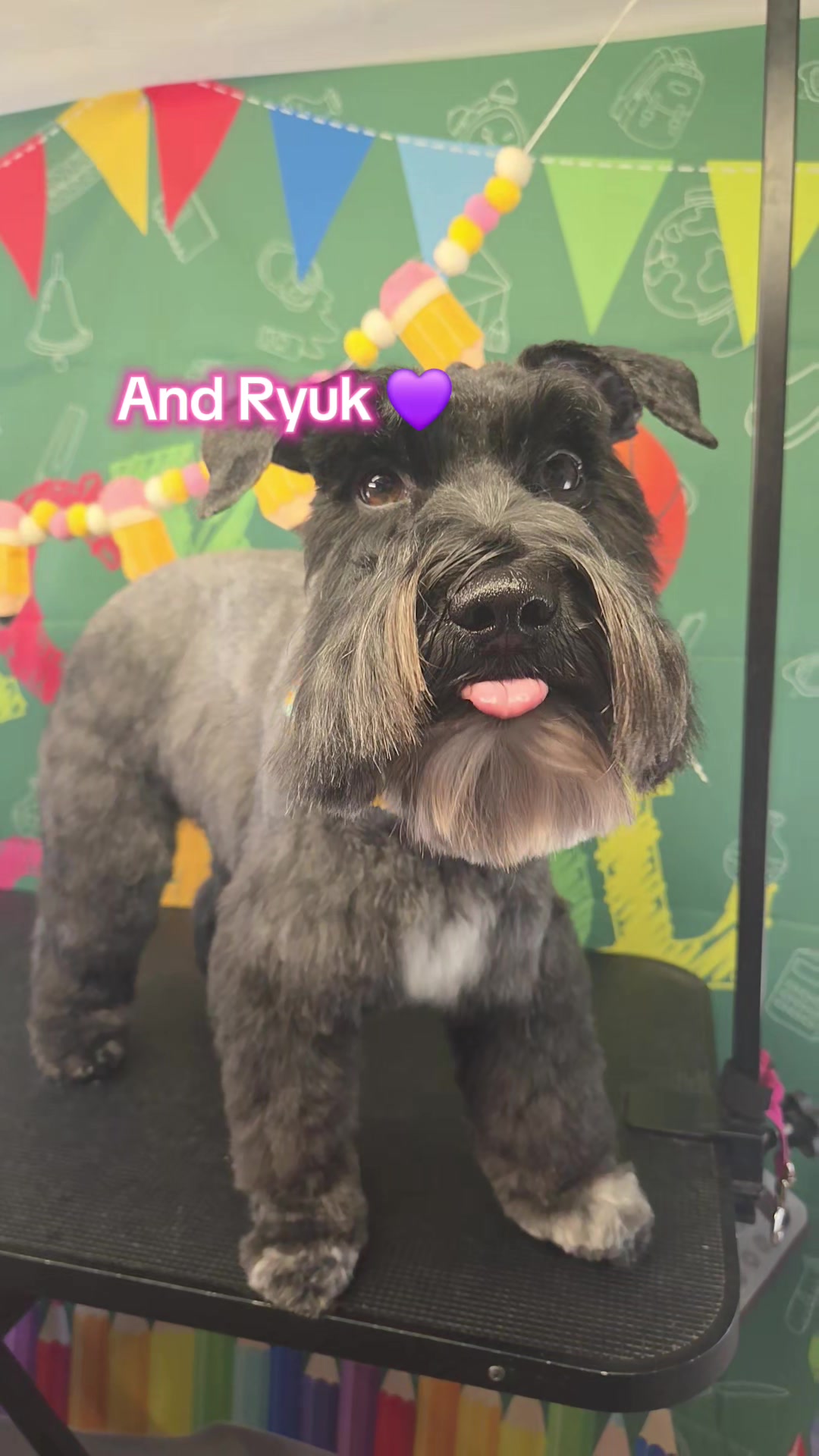 @Pet Stylist Christina