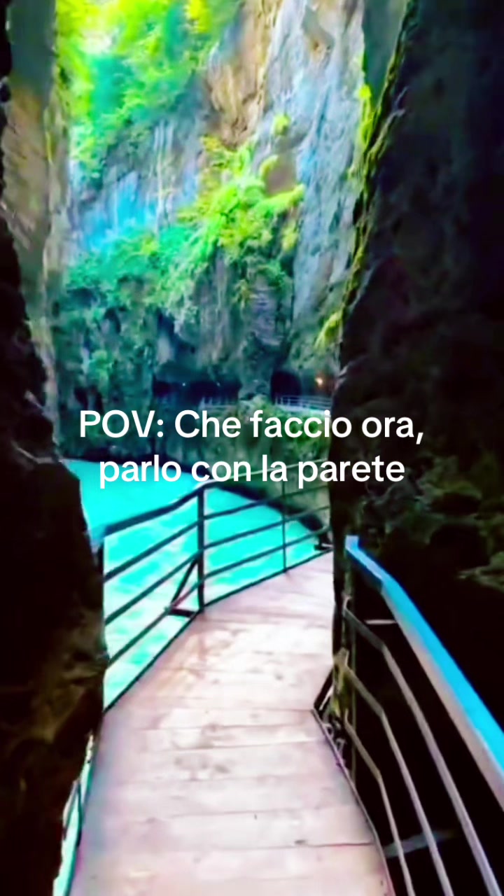 @rondinialguinzaglio🤍