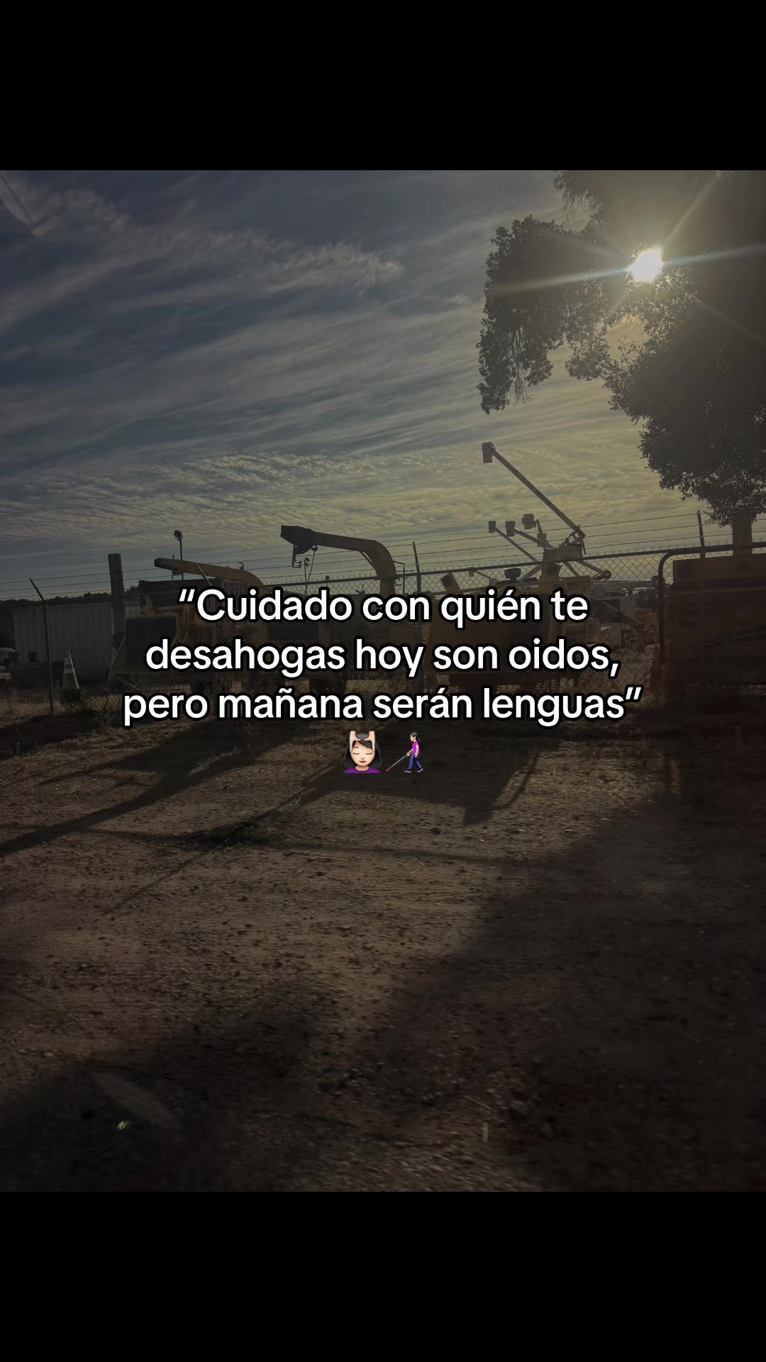 @Sandra Santiago