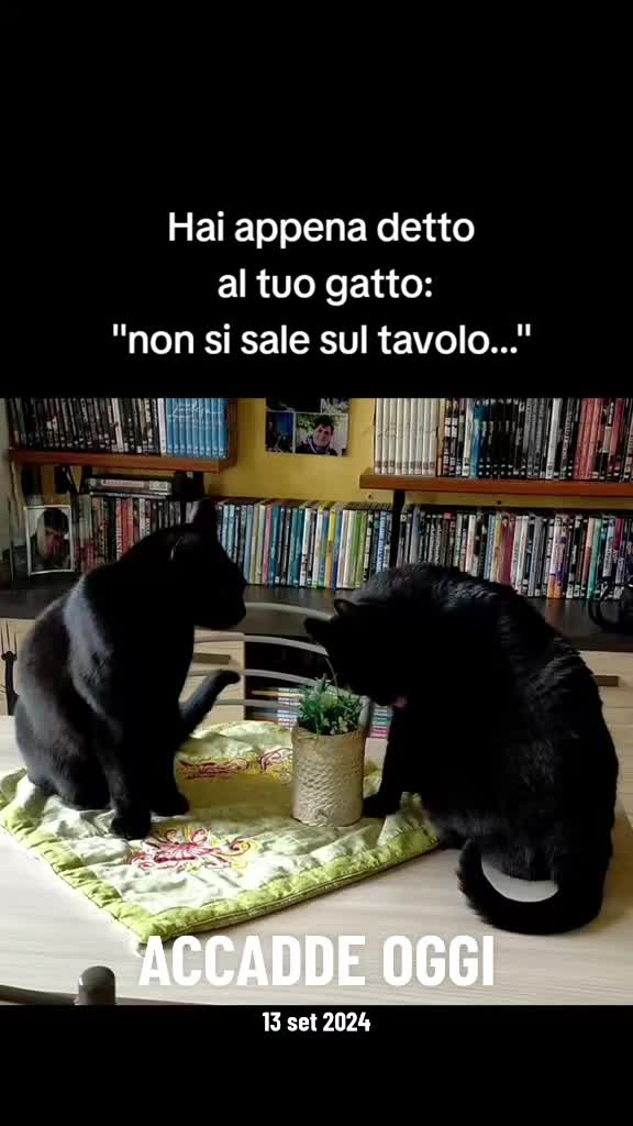 @CMAR61