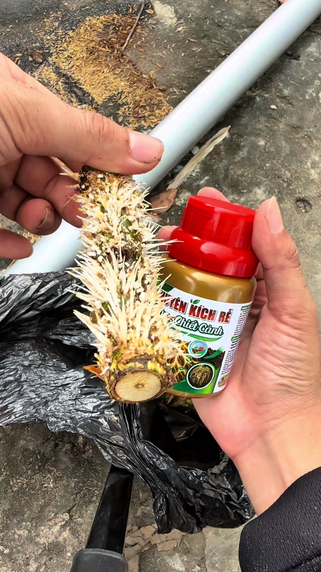 @Hộ Kinh Doanh H&agrave;o - Hưng