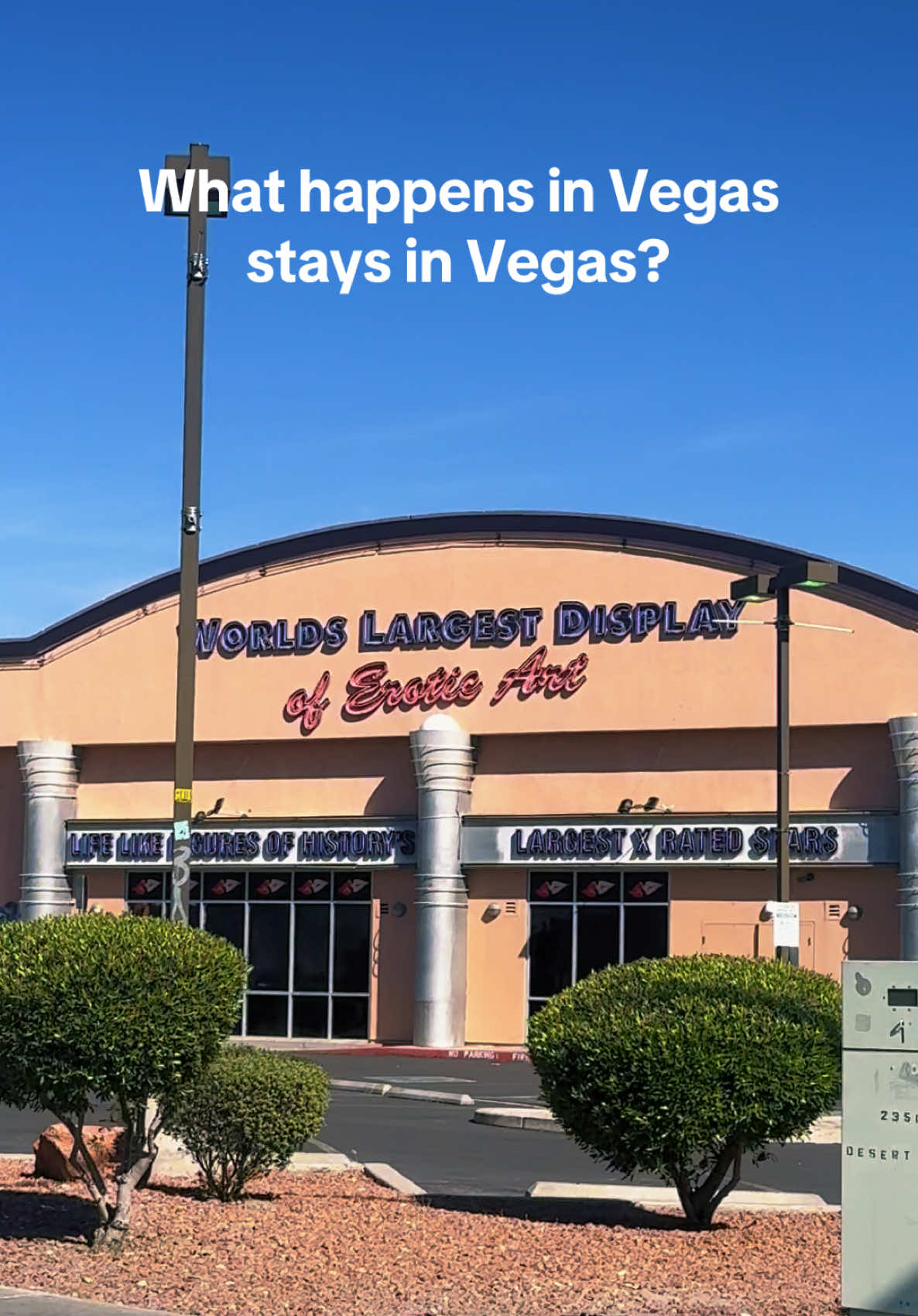 @dane schmidt