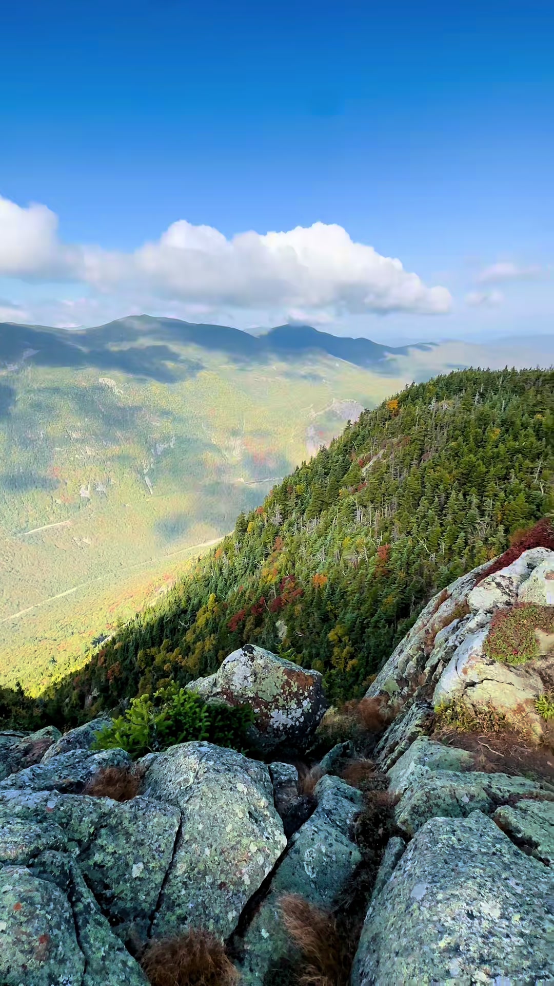 @whitemountainsnh