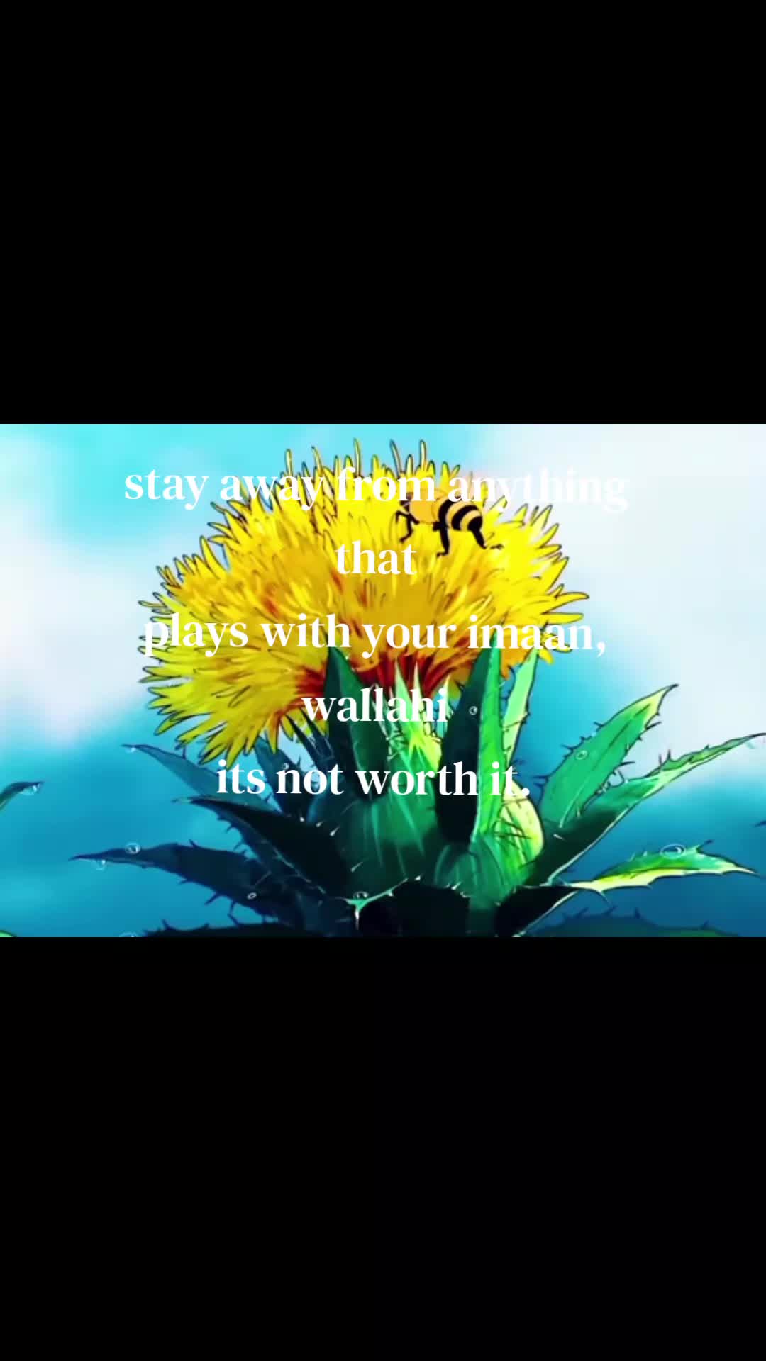 @lara.🌸