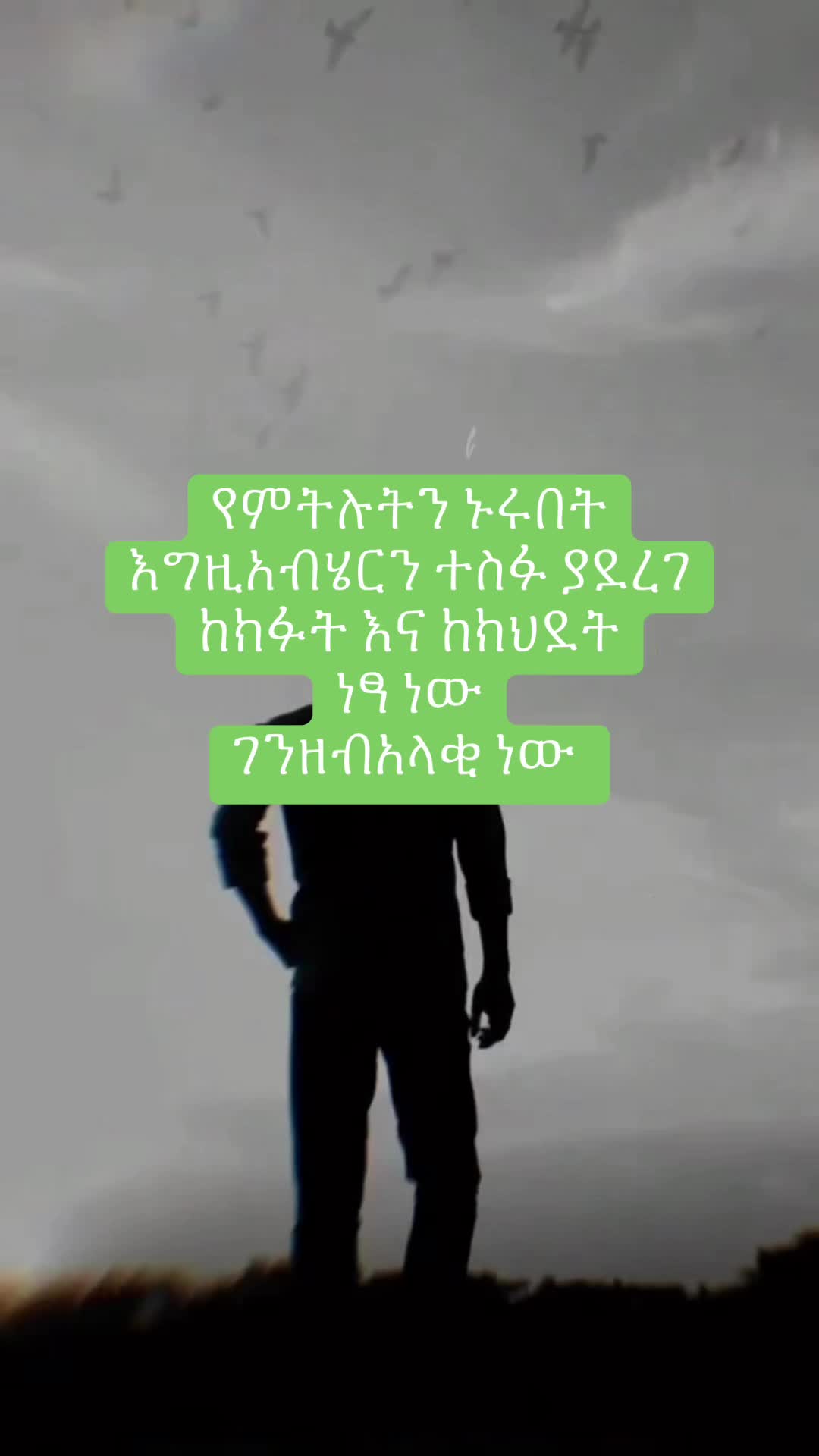 @Nebix (ፍቅር )