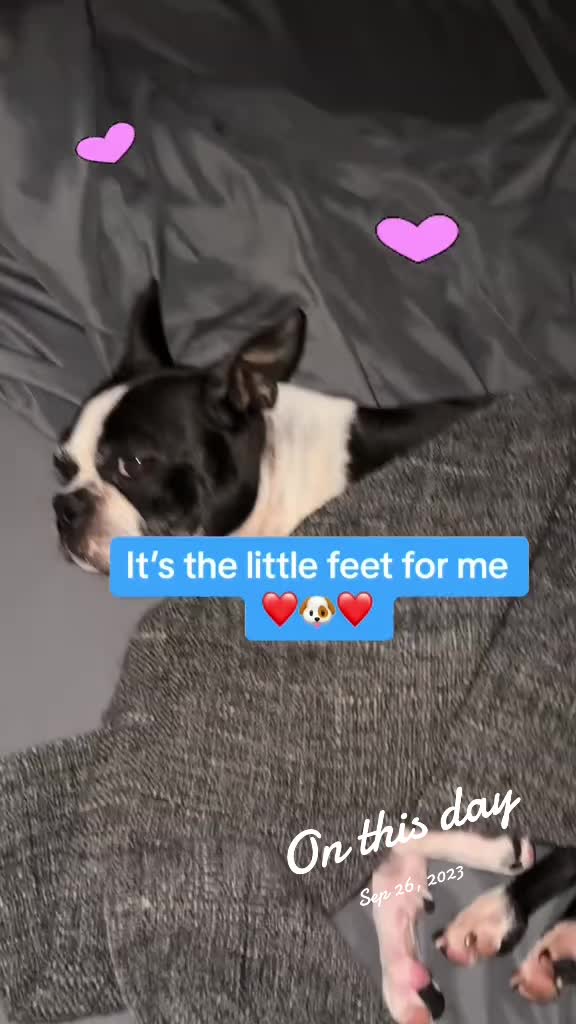 @Amber