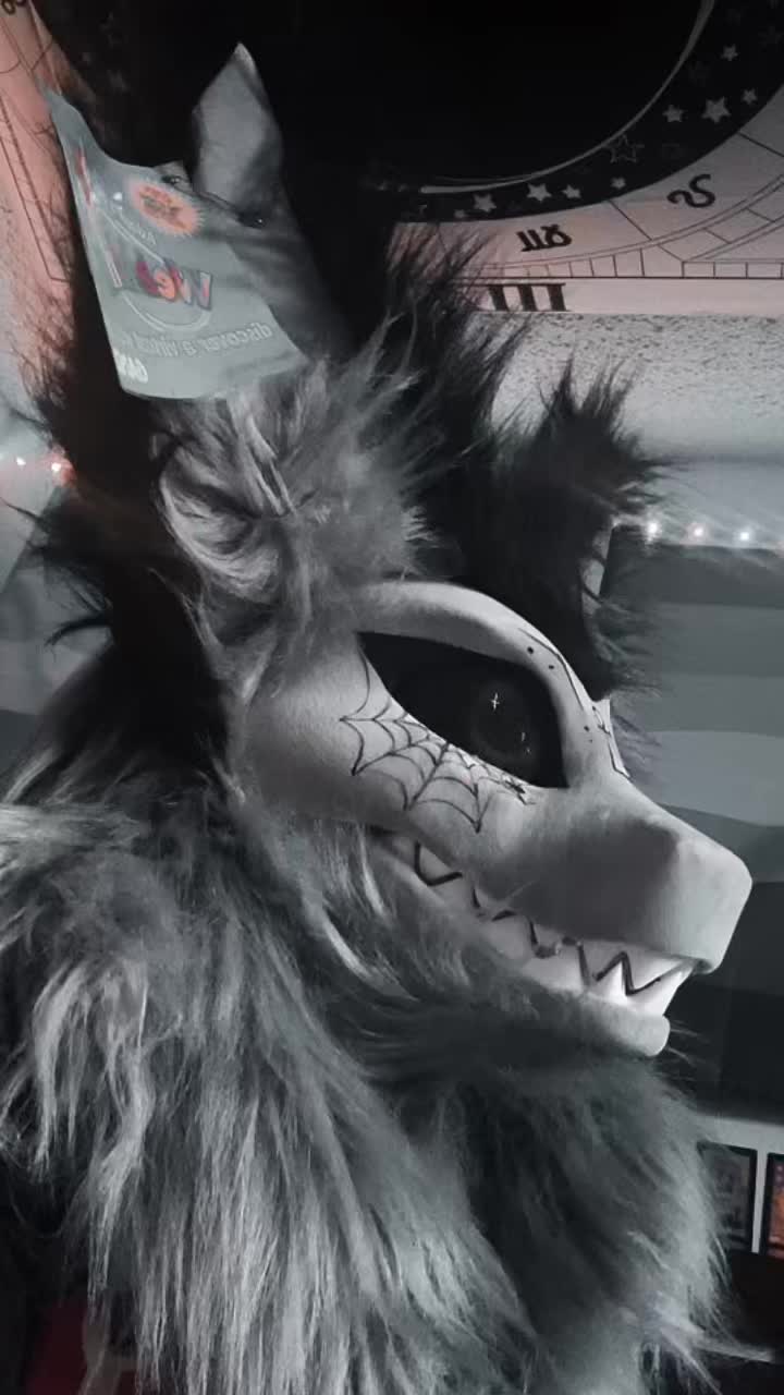 @Arin🦿Average Terzo Enjoyer