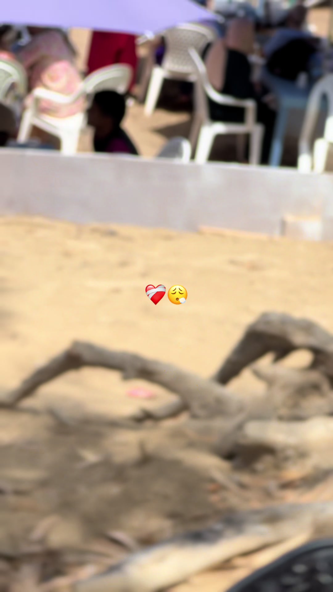 @Chanwi🤍⛔️