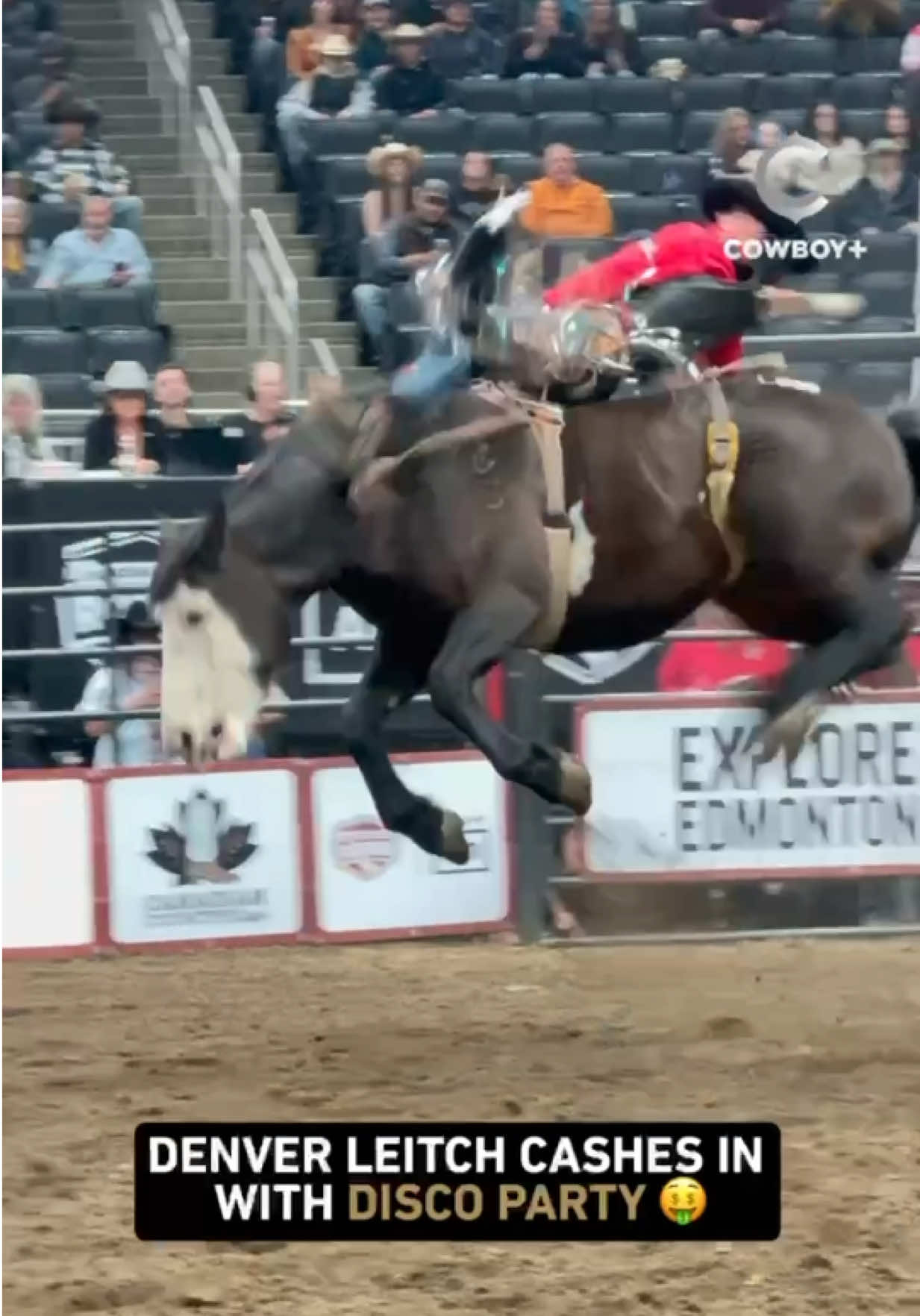 @cowboy_plus
