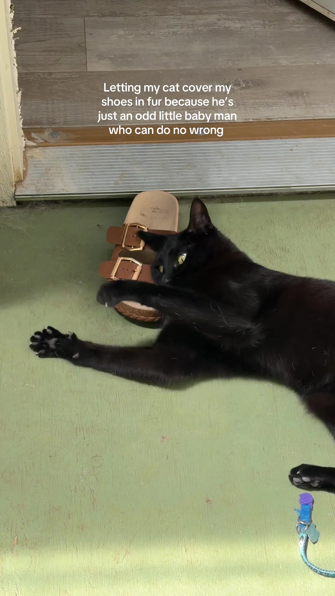 @Biggy smalls🐈⬛