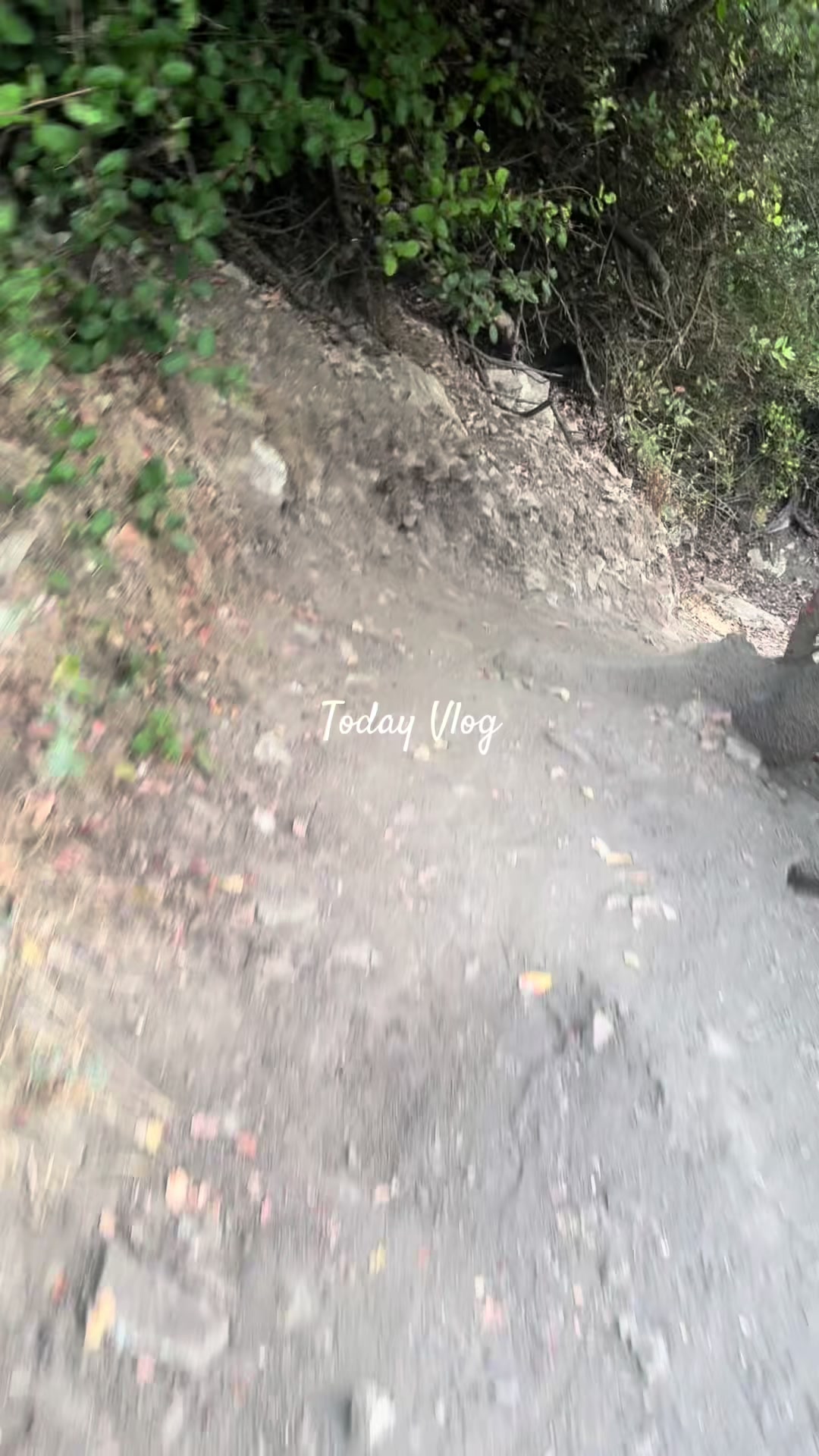 @🦂Sara🦂