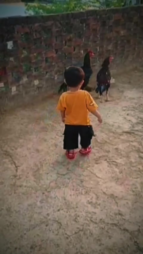 @Adnan Gujjar