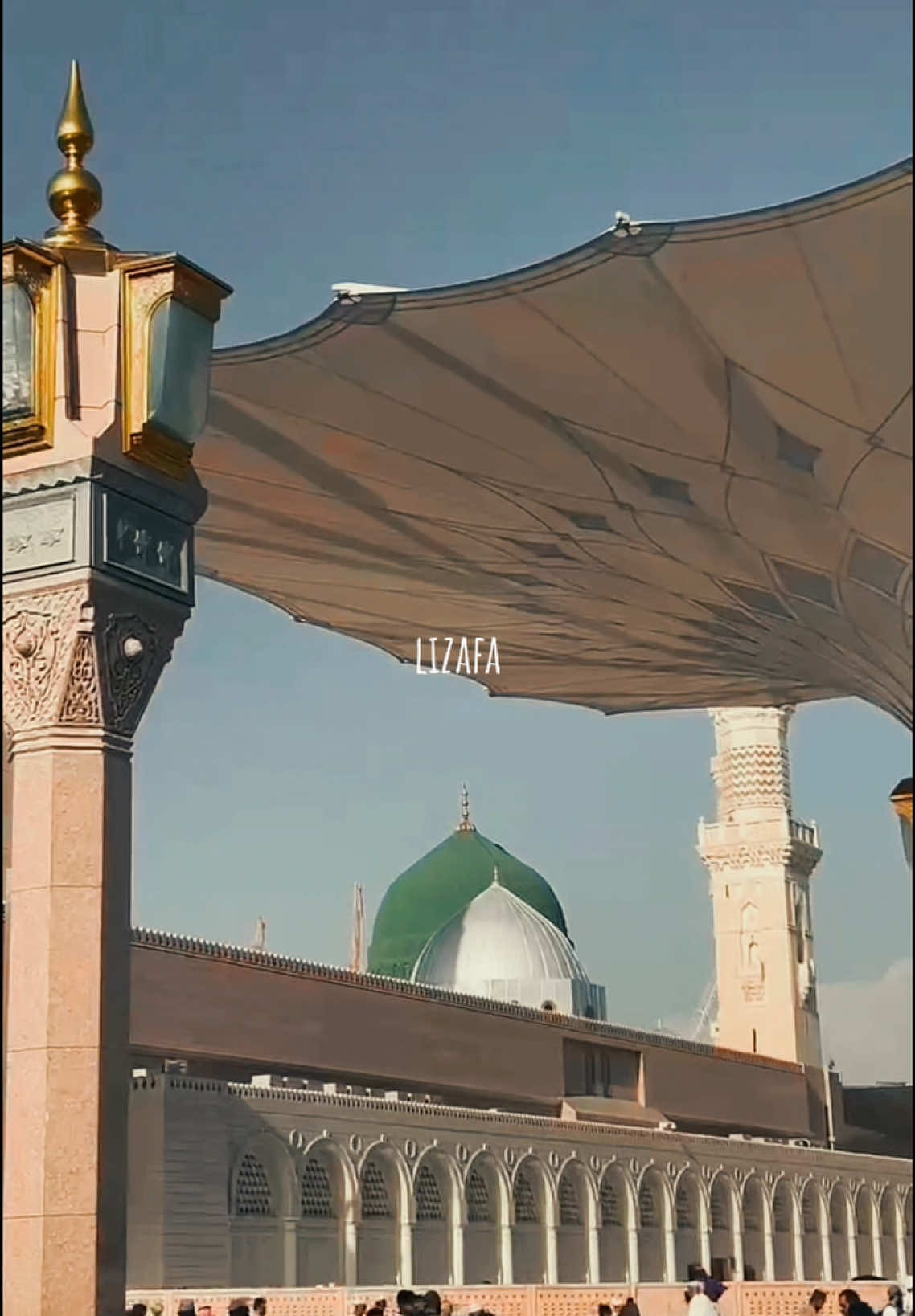 @lizafa
